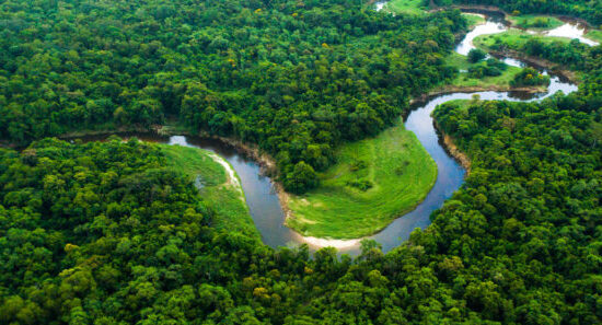 https-www-insideeulifesciences-com-wp-content-uploads-sites-48-2023-04-amazon-river-scaled-e1682677070594-770x297-jpg